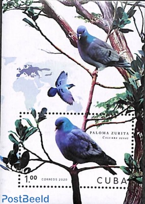 Pigeons s/s