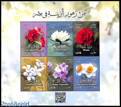 Flowers 6v m/s