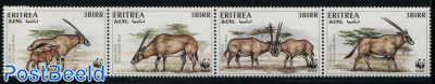 WWF, Beisa Oryx 4v [:::]