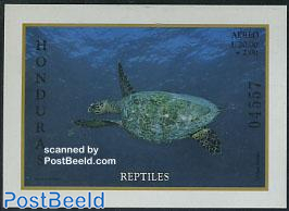 Reptiles s/s, Turtle