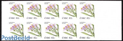 Wild flowers Booklet