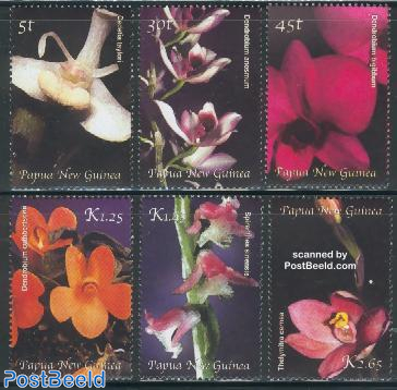 Orchids 6V