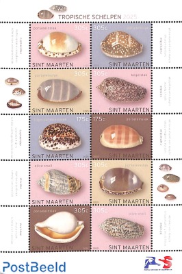 Shells 10v m/s