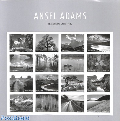 Ansel Adams 16v m/s s-a