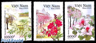 Flower season in Hanoi 3v