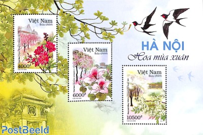 Flower season in Hanoi s/s