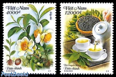 Tea plant 2v