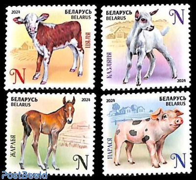 Young domestic animals 4v