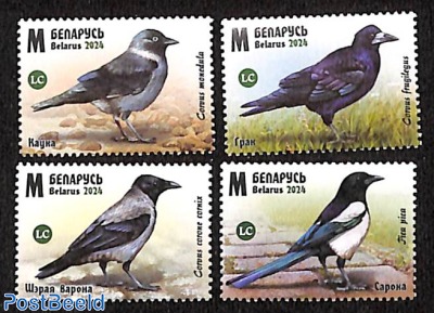 Birds 4v