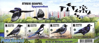 Birds s/s
