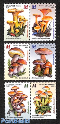 Mushrooms 6v (3x[:])