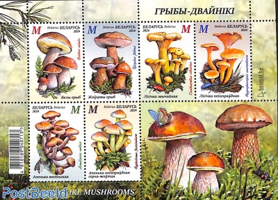 Mushrooms 6v m/s