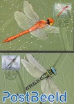 Dragonflies 2v