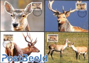 WWF, Deers 4v